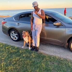 Meet your Posher, Maurice